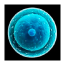 がん治療の前に、精子・卵子・胚を凍結保存　福井大学医学部附属病院／高度生殖医療センター