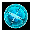 がん治療の前に、精子・卵子・胚を凍結保存　福井大学医学部附属病院／高度生殖医療センター